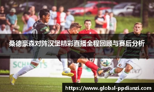 桑德豪森对阵汉堡精彩直播全程回顾与赛后分析
